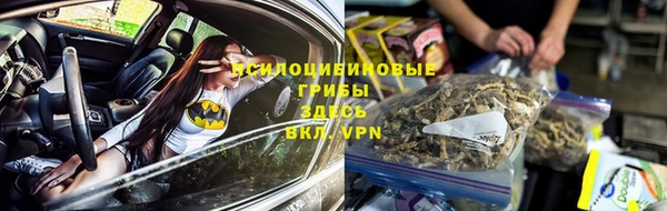меф Пересвет
