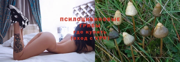 а пвп мука Переславль-Залесский