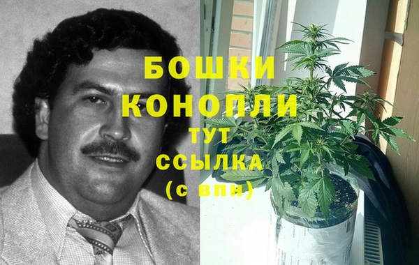 меф Пересвет
